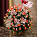 toma la imagen adjunta como base y genera misaocd 1