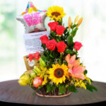 toma la imagen adjunta como base y genera quqbvc3 1