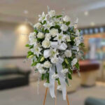 toma la imagen adjunta como base y genera yvttgf 1