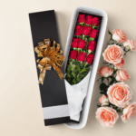 toma la imagen adjunta como base y genera z46c4yn1 1