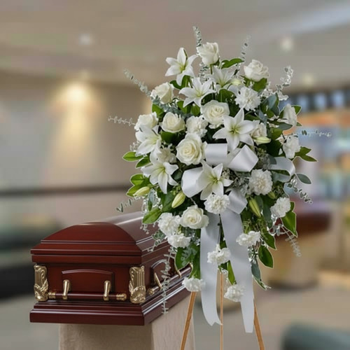 usa la imagen adjunta como referencia y crea gznsv1zr 1