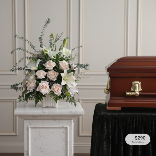 usa la imagen adjunta como referencia y crea v8iq6u 1