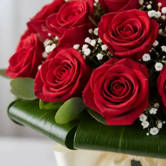 Primer plano extremo de un arreglo floral DOMENICA con 30 rosas rojas vibrantes, gotas de rocío sutiles y follaje verde, dest