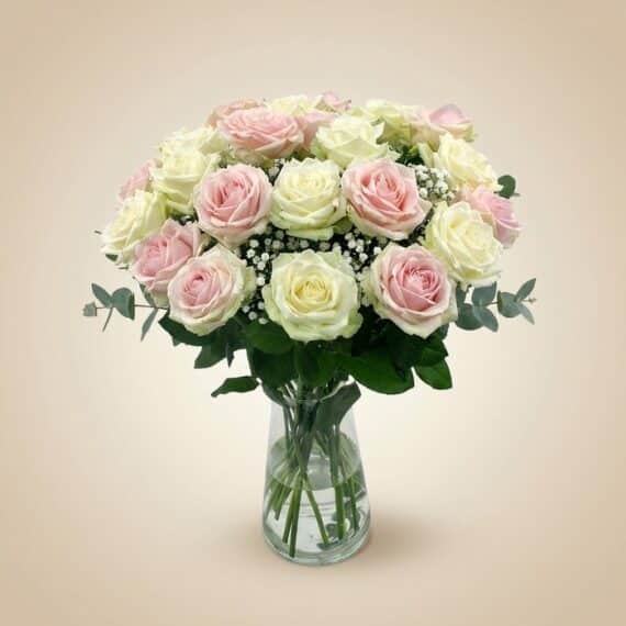 Arreglo floral Evelin con 22 rosas frescas en tonos blancos y rosados, complementado con follaje verde y gypsophila, presenta