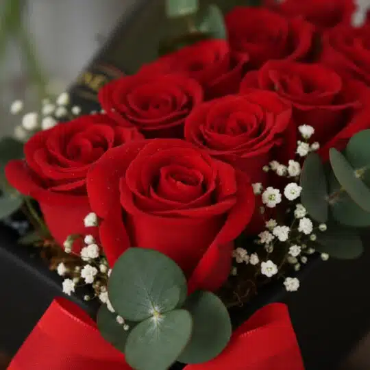 Primer plano extremo de Arreglo Floral NATALE con rosas rojas vibrantes, gotas de rocío sutiles, eucalipto y gypsophila en ca