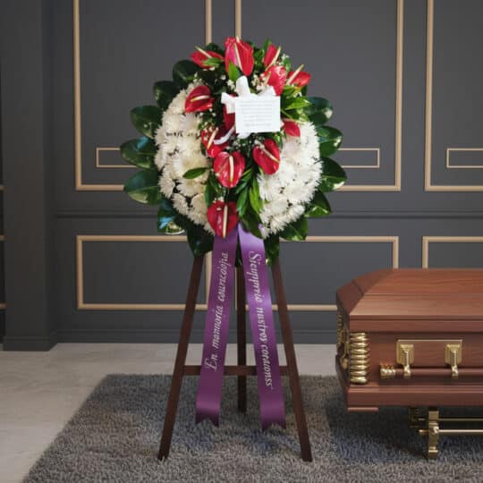 Corona fúnebre Trinidad con anthuriums rojos y crisantemos blancos, cinta morada con mensaje de condolencia, junto a un ataúd