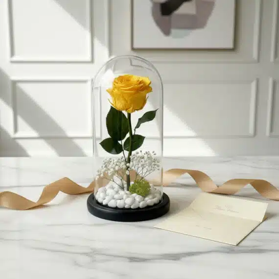Rosa eterna amarilla en domo de cristal con base negra, rodeada de piedras blancas y musgo, acompañada de una tarjeta de rega